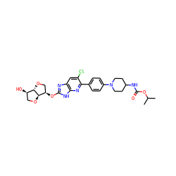 CC(C)OC(=O)NC1CCN(c2ccc(-c3nc4[nH]c(O[C@@H]5CO[C@H]6[C@H](O)CO[C@@H]65)nc4cc3Cl)cc2)CC1 ZINC001772628587