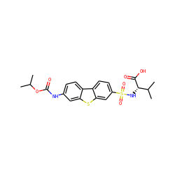 CC(C)OC(=O)Nc1ccc2c(c1)sc1cc(S(=O)(=O)N[C@H](C(=O)O)C(C)C)ccc12 ZINC000043120317