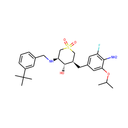 CC(C)Oc1cc(C[C@@H]2CS(=O)(=O)C[C@H](NCc3cccc(C(C)(C)C)c3)[C@H]2O)cc(F)c1N ZINC000084668417