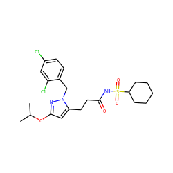 CC(C)Oc1cc(CCC(=O)NS(=O)(=O)C2CCCCC2)n(Cc2ccc(Cl)cc2Cl)n1 ZINC000073224816