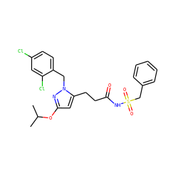CC(C)Oc1cc(CCC(=O)NS(=O)(=O)Cc2ccccc2)n(Cc2ccc(Cl)cc2Cl)n1 ZINC000073219992