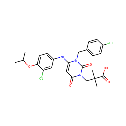 CC(C)Oc1ccc(Nc2cc(=O)n(CC(C)(C)C(=O)O)c(=O)n2Cc2ccc(Cl)cc2)cc1Cl ZINC000221180931