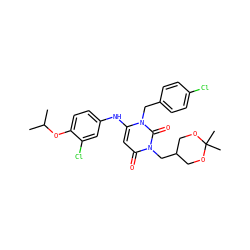 CC(C)Oc1ccc(Nc2cc(=O)n(CC3COC(C)(C)OC3)c(=O)n2Cc2ccc(Cl)cc2)cc1Cl ZINC000204097732
