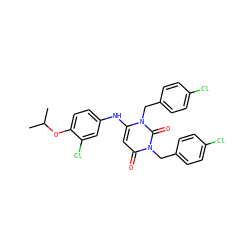 CC(C)Oc1ccc(Nc2cc(=O)n(Cc3ccc(Cl)cc3)c(=O)n2Cc2ccc(Cl)cc2)cc1Cl ZINC000204095812