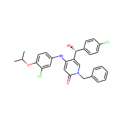 CC(C)Oc1ccc(Nc2cc(=O)n(Cc3ccccc3)cc2[C@H](O)c2ccc(Cl)cc2)cc1Cl ZINC000204090074