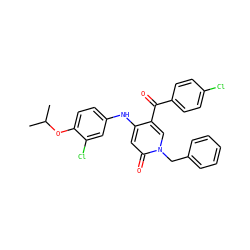 CC(C)Oc1ccc(Nc2cc(=O)n(Cc3ccccc3)cc2C(=O)c2ccc(Cl)cc2)cc1Cl ZINC000204089880