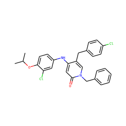 CC(C)Oc1ccc(Nc2cc(=O)n(Cc3ccccc3)cc2Cc2ccc(Cl)cc2)cc1Cl ZINC000204090056