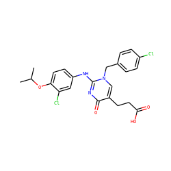 CC(C)Oc1ccc(Nc2nc(=O)c(CCC(=O)O)cn2Cc2ccc(Cl)cc2)cc1Cl ZINC000204089456