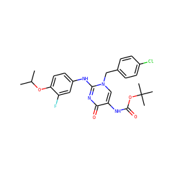 CC(C)Oc1ccc(Nc2nc(=O)c(NC(=O)OC(C)(C)C)cn2Cc2ccc(Cl)cc2)cc1F ZINC000204097849