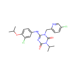 CC(C)Oc1ccc(Nc2nc(=O)n(C(C)C)c(=O)n2Cc2ccc(Cl)cn2)cc1Cl ZINC000200516876
