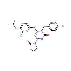 CC(C)Oc1ccc(Nc2nc(N3CCCC3=O)nc(=O)n2Cc2ccc(Cl)cc2)cc1Cl ZINC000200513552