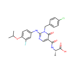 CC(C)Oc1ccc(Nc2ncc(C(=O)N[C@@H](C)C(=O)O)c(=O)n2Cc2ccc(Cl)cc2)cc1F ZINC000221183170