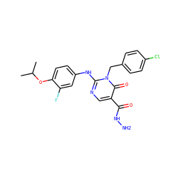 CC(C)Oc1ccc(Nc2ncc(C(=O)NN)c(=O)n2Cc2ccc(Cl)cc2)cc1F ZINC000204092303