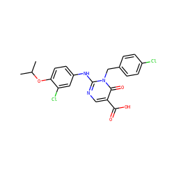CC(C)Oc1ccc(Nc2ncc(C(=O)O)c(=O)n2Cc2ccc(Cl)cc2)cc1Cl ZINC000221182217