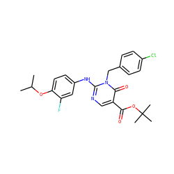CC(C)Oc1ccc(Nc2ncc(C(=O)OC(C)(C)C)c(=O)n2Cc2ccc(Cl)cc2)cc1F ZINC000204096158