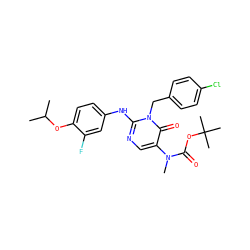 CC(C)Oc1ccc(Nc2ncc(N(C)C(=O)OC(C)(C)C)c(=O)n2Cc2ccc(Cl)cc2)cc1F ZINC000204092285