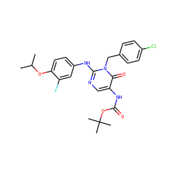 CC(C)Oc1ccc(Nc2ncc(NC(=O)OC(C)(C)C)c(=O)n2Cc2ccc(Cl)cc2)cc1F ZINC000204095832
