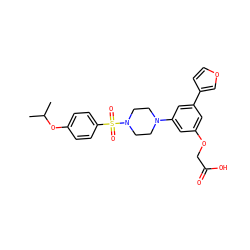 CC(C)Oc1ccc(S(=O)(=O)N2CCN(c3cc(OCC(=O)O)cc(-c4ccoc4)c3)CC2)cc1 ZINC001772571268