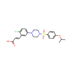 CC(C)Oc1ccc(S(=O)(=O)N2CCN(c3ccc(Cl)c(/C=C/C(=O)O)c3)CC2)cc1 ZINC001772574655