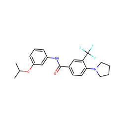 CC(C)Oc1cccc(NC(=O)c2ccc(N3CCCC3)c(C(F)(F)F)c2)c1 ZINC000066111649