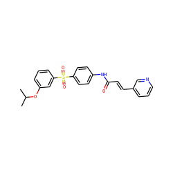 CC(C)Oc1cccc(S(=O)(=O)c2ccc(NC(=O)/C=C/c3cccnc3)cc2)c1 ZINC000142406708