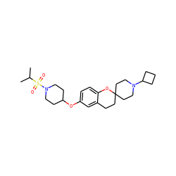 CC(C)S(=O)(=O)N1CCC(Oc2ccc3c(c2)CCC2(CCN(C4CCC4)CC2)O3)CC1 ZINC000084597084