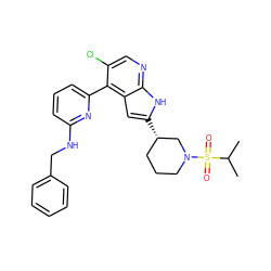 CC(C)S(=O)(=O)N1CCC[C@H](c2cc3c(-c4cccc(NCc5ccccc5)n4)c(Cl)cnc3[nH]2)C1 ZINC000220185063