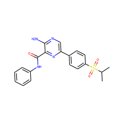 CC(C)S(=O)(=O)c1ccc(-c2cnc(N)c(C(=O)Nc3ccccc3)n2)cc1 ZINC000071319216