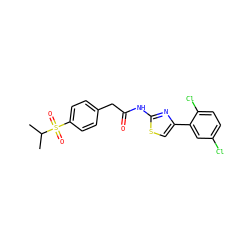 CC(C)S(=O)(=O)c1ccc(CC(=O)Nc2nc(-c3cc(Cl)ccc3Cl)cs2)cc1 ZINC000012070113