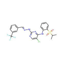 CC(C)S(=O)(=O)c1ccccc1Nc1nc(N/N=C/c2cccc(C(F)(F)F)c2)ncc1Cl ZINC001772653214