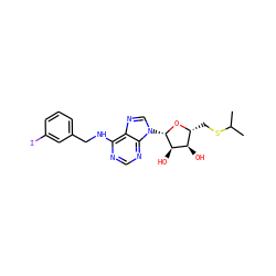 CC(C)SC[C@H]1O[C@@H](n2cnc3c(NCc4cccc(I)c4)ncnc32)[C@H](O)[C@@H]1O ZINC000049777482