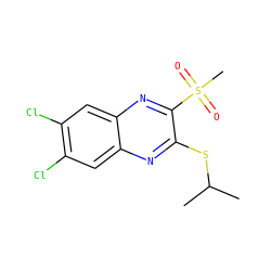 CC(C)Sc1nc2cc(Cl)c(Cl)cc2nc1S(C)(=O)=O ZINC000028950993