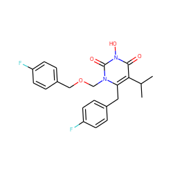 CC(C)c1c(Cc2ccc(F)cc2)n(COCc2ccc(F)cc2)c(=O)n(O)c1=O ZINC000066103412