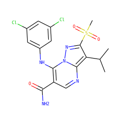 CC(C)c1c(S(C)(=O)=O)nn2c(Nc3cc(Cl)cc(Cl)c3)c(C(N)=O)cnc12 ZINC000653793694