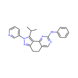 CC(C)c1c2c(nn1-c1cccnc1)CCc1cnc(Nc3ccccc3)nc1-2 ZINC000169702227