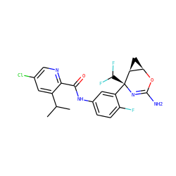 CC(C)c1cc(Cl)cnc1C(=O)Nc1ccc(F)c([C@@]2(C(F)F)N=C(N)O[C@@H]3C[C@@H]32)c1 ZINC000226110339