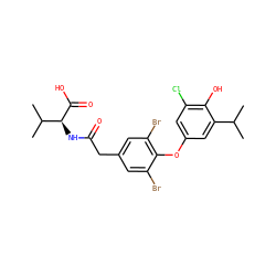 CC(C)c1cc(Oc2c(Br)cc(CC(=O)N[C@H](C(=O)O)C(C)C)cc2Br)cc(Cl)c1O ZINC000014969120