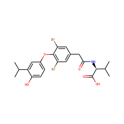 CC(C)c1cc(Oc2c(Br)cc(CC(=O)N[C@H](C(=O)O)C(C)C)cc2Br)ccc1O ZINC000014969093