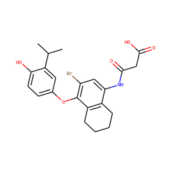 CC(C)c1cc(Oc2c(Br)cc(NC(=O)CC(=O)O)c3c2CCCC3)ccc1O ZINC000084728994
