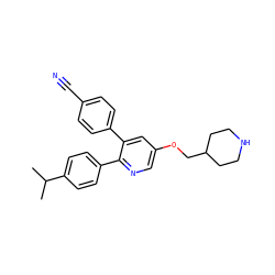 CC(C)c1ccc(-c2ncc(OCC3CCNCC3)cc2-c2ccc(C#N)cc2)cc1 ZINC000653707385