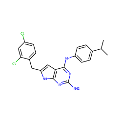 CC(C)c1ccc(Nc2nc(N)nc3[nH]c(Cc4ccc(Cl)cc4Cl)cc23)cc1 ZINC000049073274