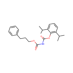 CC(C)c1cccc(C(C)C)c1OC(=O)NC(=O)OCCCc1ccccc1 ZINC000013738026