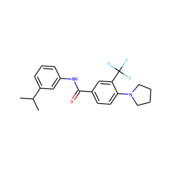 CC(C)c1cccc(NC(=O)c2ccc(N3CCCC3)c(C(F)(F)F)c2)c1 ZINC000066111648