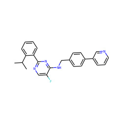 CC(C)c1ccccc1-c1ncc(F)c(NCc2ccc(-c3cccnc3)cc2)n1 ZINC000169339846