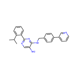 CC(C)c1ccccc1-c1ncc(N)c(NCc2ccc(-c3cccnc3)cc2)n1 ZINC000169304101