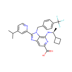 CC(C)c1ccnc(-c2nc3cc(C(=O)O)nc(N[C@@H](C)C4CCC4)c3n2Cc2ccc(C(F)(F)F)cc2)c1 ZINC001772576191