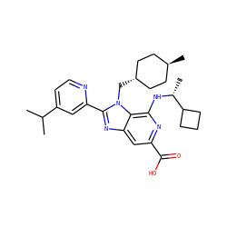 CC(C)c1ccnc(-c2nc3cc(C(=O)O)nc(N[C@H](C)C4CCC4)c3n2C[C@H]2CC[C@H](C)CC2)c1 ZINC000261090513