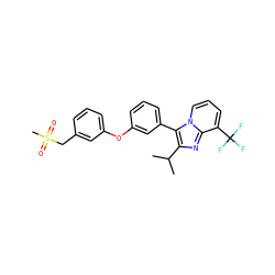 CC(C)c1nc2c(C(F)(F)F)cccn2c1-c1cccc(Oc2cccc(CS(C)(=O)=O)c2)c1 ZINC000045387580