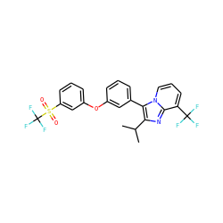 CC(C)c1nc2c(C(F)(F)F)cccn2c1-c1cccc(Oc2cccc(S(=O)(=O)C(F)(F)F)c2)c1 ZINC000049762043