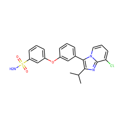 CC(C)c1nc2c(Cl)cccn2c1-c1cccc(Oc2cccc(S(N)(=O)=O)c2)c1 ZINC000045392689